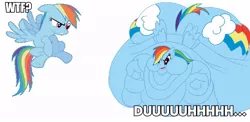 Size: 850x416 | Tagged: safe, banned from derpibooru, deleted from derpibooru, derpibooru import, edit, rainbow dash, blob, comparison, diabetes, fat, flying, lordryu fat edit, morbidly obese, normal vs fat, obese