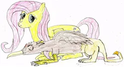 Size: 900x489 | Tagged: safe, artist:wesdaaman, banned from derpibooru, deleted from derpibooru, derpibooru import, fluttershy, griffy the griffin