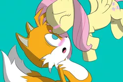 Size: 1500x1000 | Tagged: source needed, safe, artist:boltswift, banned from derpibooru, deleted from derpibooru, derpibooru import, fluttershy, blushing, crossover, crossover shipping, cute, female, fluttertails, kissing, male, miles "tails" prower, shipping, sonic the hedgehog (series), straight