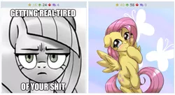 Size: 513x279 | Tagged: safe, artist:pencils, artist:ushiro no kukan, banned from derpibooru, deleted from derpibooru, derpibooru import, fluttershy, limestone pie, derpibooru, angry, annoyed, blushing, cute, exploitable meme, juxtaposition, juxtaposition win, meme, memegenerator, meta, reaction image, shyabetes, solo, vulgar