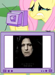 Size: 563x771 | Tagged: safe, banned from derpibooru, deleted from derpibooru, derpibooru import, fluttershy, alan rickman, death, exploitable meme, fluttercry, harry potter, meme, obligatory pony, rest in peace, severus snape, tv meme