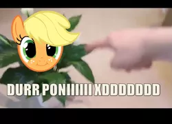 Size: 715x515 | Tagged: safe, banned from derpibooru, deleted from derpibooru, derpibooru import, applejack, durr plant, i hate everything, plant, point, smiling