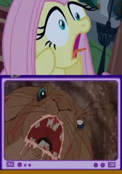 Size: 564x800 | Tagged: semi-grimdark, banned from derpibooru, deleted from derpibooru, derpibooru import, fluttershy, rabbit, luna eclipsed, animal, exploitable meme, general woundwart, meme, obligatory pony, screaming, tv meme, watership down