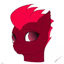 Size: 3280x3280 | Tagged: safe, artist:pyravia, banned from derpibooru, deleted from derpibooru, derpibooru import, oc, oc:storm flare, unofficial characters only, bust, looking back, portrait