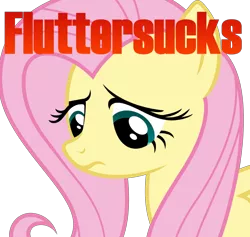 Size: 600x569 | Tagged: safe, banned from derpibooru, deleted from derpibooru, derpibooru import, fluttershy, background pony strikes again, drama bait, low quality bait, op has a point, opinion, sad, shitposting, simple background, truth