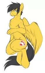 Size: 776x1263 | Tagged: suggestive, artist:cassiusdrawsthings, banned from derpibooru, deleted from derpibooru, derpibooru import, oc, oc:steelshine, unofficial characters only, anthro, pegasus, unguligrade anthro, bare chest, looking at you, male, pinup, pose, smiling, solo, solo male