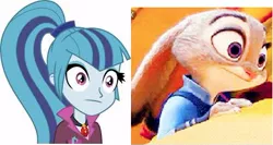 Size: 446x237 | Tagged: safe, banned from derpibooru, deleted from derpibooru, derpibooru import, sonata dusk, :|, comparison, judy hopps, starenata, thousand yard stare, zootopia