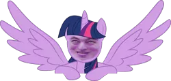 Size: 1920x911 | Tagged: safe, artist:sonney, banned from derpibooru, deleted from derpibooru, derpibooru import, twilight sparkle, filthy frank, solo, spread wings, wings