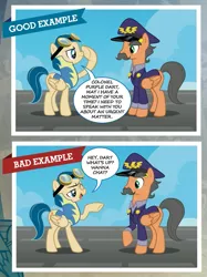 Size: 699x933 | Tagged: safe, banned from derpibooru, deleted from derpibooru, derpibooru import, colonel purple dart, the wonderbolts academy handbook, wonderbolts