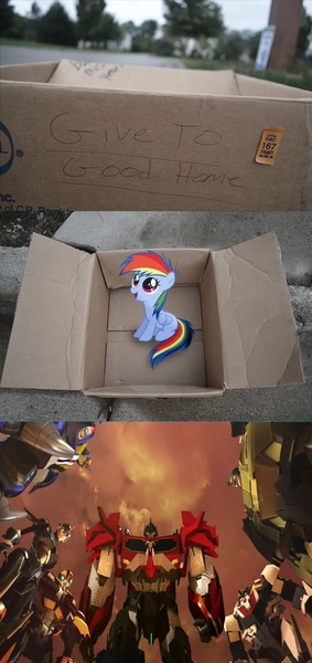 Size: 1320x2796 | Tagged: safe, banned from derpibooru, deleted from derpibooru, derpibooru import, rainbow dash, fanfic:my little dashie, arcee, autobots, beast hunters, bulkhead, bumblebee, dashie meme, exploitable meme, meme, optimus prime, smokescreen, team prime, transformers, transformers prime, wheeljack