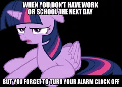 Size: 1024x735 | Tagged: safe, banned from derpibooru, deleted from derpibooru, derpibooru import, twilight sparkle, alicorn, caption, image macro, meme, obligatory pony, solo, text, this will end in pain, this will end in tears, twilight sparkle (alicorn)