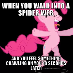 Size: 500x500 | Tagged: safe, banned from derpibooru, deleted from derpibooru, derpibooru import, pinkie pie, caption, image macro, meme, obligatory pony, panic, solo, spider web, text, when x and y