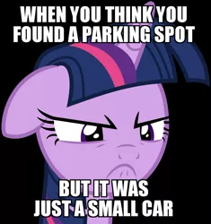 Size: 1024x1091 | Tagged: safe, banned from derpibooru, deleted from derpibooru, derpibooru import, twilight sparkle, angry, caption, disappointed, frown, image macro, meme, obligatory pony, solo, text, when x and y