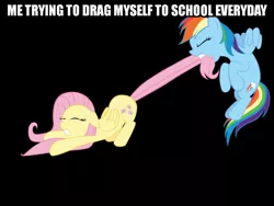 Size: 1032x774 | Tagged: safe, banned from derpibooru, deleted from derpibooru, derpibooru import, fluttershy, rainbow dash, caption, image macro, meme, obligatory pony, school, text