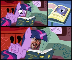 Size: 710x600 | Tagged: safe, banned from derpibooru, deleted from derpibooru, derpibooru import, edit, screencap, twilight sparkle, alicorn, testing testing 1-2-3, book, golden oaks library, liberator, meme, prone, reading, solo, twilight sparkle (alicorn)