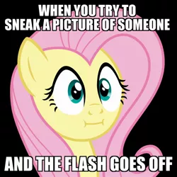 Size: 2000x2000 | Tagged: safe, banned from derpibooru, deleted from derpibooru, derpibooru import, fluttershy, caption, flutterscrunch, image macro, meme, obligatory pony, scrunchy face, solo, text, when x and y