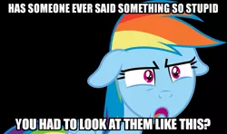 Size: 1023x605 | Tagged: safe, banned from derpibooru, deleted from derpibooru, derpibooru import, rainbow dash, caption, floppy ears, image macro, meme, obligatory pony, solo, text, tfw