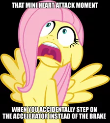 Size: 846x944 | Tagged: safe, banned from derpibooru, deleted from derpibooru, derpibooru import, fluttershy, caption, image macro, meme, obligatory pony, scared, solo, text, when x and y