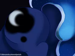 Size: 1280x960 | Tagged: suggestive, artist:fallenandscattered, banned from derpibooru, deleted from derpibooru, derpibooru import, princess luna, butt, butt only, female, moonbutt, plot, praise the moon, solo, solo female, the ass was fat