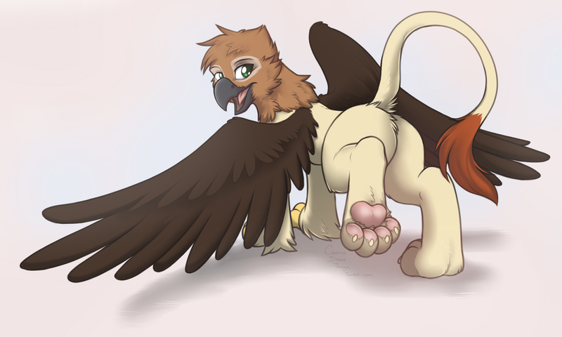 Size: 1715x1028 | Tagged: safe, artist:cassiusdrawsthings, banned from derpibooru, deleted from derpibooru, derpibooru import, oc, oc:arvid, oc:icaron, unofficial characters only, gryphon, claws, explicit source, male, paws, plumage, solo, underpaw, wings