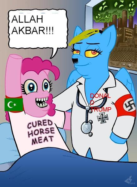 Size: 658x900 | Tagged: safe, banned from derpibooru, deleted from derpibooru, derpibooru import, rainbow dash, cry more liberal scum, doctor, donald trump, europe, islam, nationalism, op is not a faggot admin is a faggot, plz trump, united states