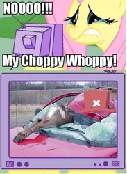 Size: 704x960 | Tagged: safe, banned from derpibooru, deleted from derpibooru, derpibooru import, fluttershy, car, dead, exploitable meme, meme, obligatory pony, one piece, tony tony chopper, tv meme