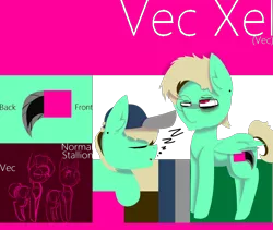 Size: 2560x2160 | Tagged: safe, artist:vecxel, banned from derpibooru, deleted from derpibooru, derpibooru import, oc, oc:vec xel, unofficial characters only, pegasus, pony, ponysona, reference sheet, solo