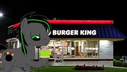 Size: 1280x720 | Tagged: safe, artist:gridino, banned from derpibooru, deleted from derpibooru, derpibooru import, oc, unofficial characters only, earth pony, pony, burger, burger king, food, hamburger, lettuce, male, solo, stallion, vegan