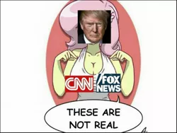 Size: 1600x1200 | Tagged: suggestive, banned from derpibooru, deleted from derpibooru, derpibooru import, fluttershy, cnn, donald trump, fake news, fox news