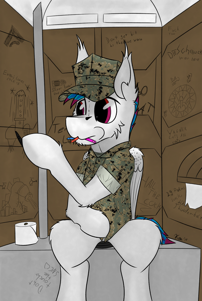 Size: 1280x1907 | Tagged: suggestive, artist:kamithepony, banned from derpibooru, deleted from derpibooru, derpibooru import, oc, oc:kami, pegasus, crayon, marine, military, outhouse, shitter, solo, toilet, toilet paper, usmc