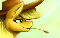 Size: 1224x792 | Tagged: safe, artist:gingersnap913, banned from derpibooru, deleted from derpibooru, derpibooru import, applejack, earth pony, pony, bust, female, mare, portrait, profile, smiling, solo, straw, straw in mouth