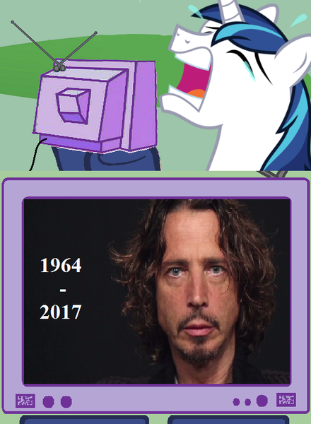Size: 559x762 | Tagged: safe, banned from derpibooru, deleted from derpibooru, derpibooru import, shining armor, chris cornell, crying, crying armor, death, exploitable meme, meme, obligatory pony, sad, tv meme