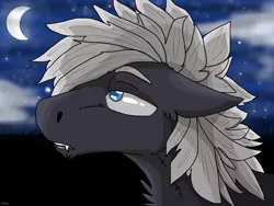 Size: 2000x1500 | Tagged: safe, artist:0ron0, banned from derpibooru, deleted from derpibooru, derpibooru import, oc, unofficial characters only, pony, bust, chest fluff, ear fluff, fangs, floppy ears, male, moon, night, no pupils, portrait, sad, solo, stallion, starry sky, stars