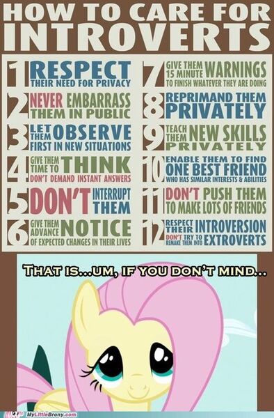 Size: 500x762 | Tagged: safe, banned from derpibooru, deleted from derpibooru, derpibooru import, fluttershy, pegasus, pony, bust, cute, if you don't mind, introversion, my little brony, obligatory pony, portrait, rules, solo