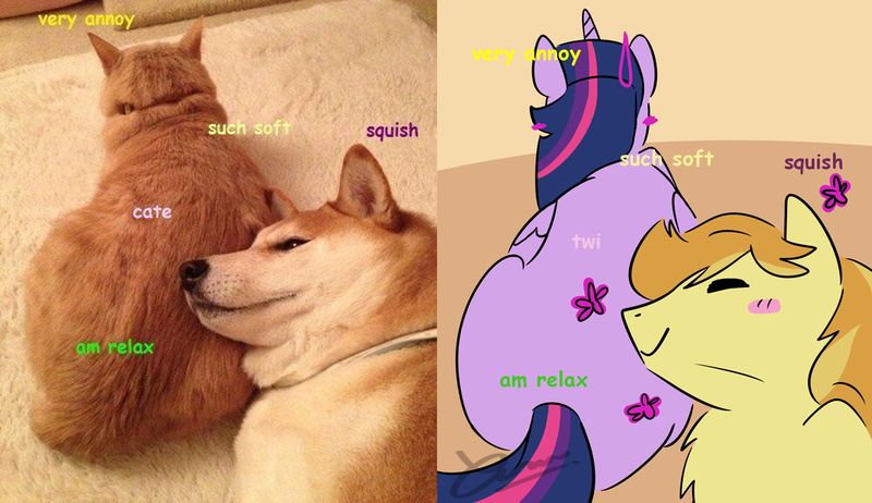 Size: 1213x700 | Tagged: safe, artist:nuazka, banned from derpibooru, deleted from derpibooru, derpibooru import, braeburn, twilight sparkle, twilight sparkle (alicorn), alicorn, cat, dog, pony, behaving like a cat, behaving like a dog, butt, comparison, doge, female, male, pillow, ponified animal photo, shipping, straight, twiburn, twibutt