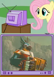Size: 564x800 | Tagged: safe, banned from derpibooru, deleted from derpibooru, derpibooru import, fluttershy, bird, rito, accordion, exploitable meme, kass, meme, musical instrument, nintendo, nintendo switch, obligatory pony, television, the legend of zelda, the legend of zelda: breath of the wild, tv meme