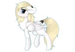 Size: 1024x717 | Tagged: safe, artist:einzie, banned from derpibooru, deleted from derpibooru, derpibooru import, oc, oc:luftkrieg, unofficial characters only, pegasus, pony, aryan pony, blushing, chest fluff, female, filly, floppy ears, looking at you, simple background, solo, tail wrap, transparent background, walking