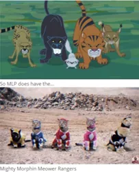 Size: 424x523 | Tagged: safe, banned from derpibooru, deleted from derpibooru, derpibooru import, mitsy, big cat, cat, leopard, panther, tiger, daring don't, mighty morphin meower rangers, power rangers, wildcat