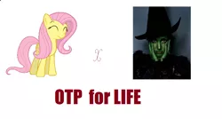 Size: 1152x616 | Tagged: safe, banned from derpibooru, deleted from derpibooru, derpibooru import, fluttershy, human, pony, elphaba, exploitable meme, implied cheating, implied human on pony action, implied interspecies, meme, otp, shipping, the wizard of oz, wicked, wicked witch