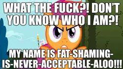 Size: 888x499 | Tagged: safe, banned from derpibooru, deleted from derpibooru, derpibooru import, scootaloo, caption, fat shaming, image macro, meme, mouthpiece, name change, op is trying too hard, social justice, text