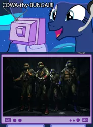 Size: 563x769 | Tagged: safe, banned from derpibooru, deleted from derpibooru, derpibooru import, princess luna, gamer luna, exploitable meme, injustice 2, meme, obligatory pony, teenage mutant ninja turtles, tv meme