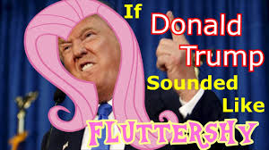 Size: 300x168 | Tagged: editor needed, safe, banned from derpibooru, deleted from derpibooru, derpibooru import, edit, fluttershy, human, caption, donald trump, irl, irl human, photo, politics, poster, text