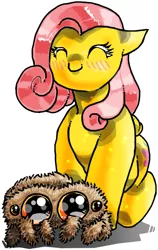 Size: 611x966 | Tagged: safe, artist:davide76, banned from derpibooru, deleted from derpibooru, derpibooru import, fluttershy, pegasus, pony, spider, eyes closed, female, lucas the spider, mare, sitting, smiling, solo