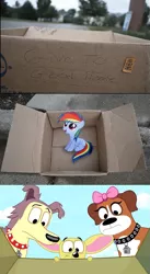 Size: 611x1115 | Tagged: safe, banned from derpibooru, deleted from derpibooru, derpibooru import, rainbow dash, summer breeze, pony, fanfic:my little dashie, crossover, dashie meme, exploitable meme, friendship student, good people finding dash meme, lucky smarts, meme, obligatory pony, photo, pound puppies