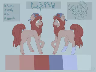 Size: 4000x3000 | Tagged: safe, artist:popcornhorns, banned from derpibooru, deleted from derpibooru, derpibooru import, oc, oc:cody, unofficial characters only, earth pony, pony, backwards ballcap, baseball cap, cap, clothes, female, hat, high res, mare, reference sheet, socks, solo