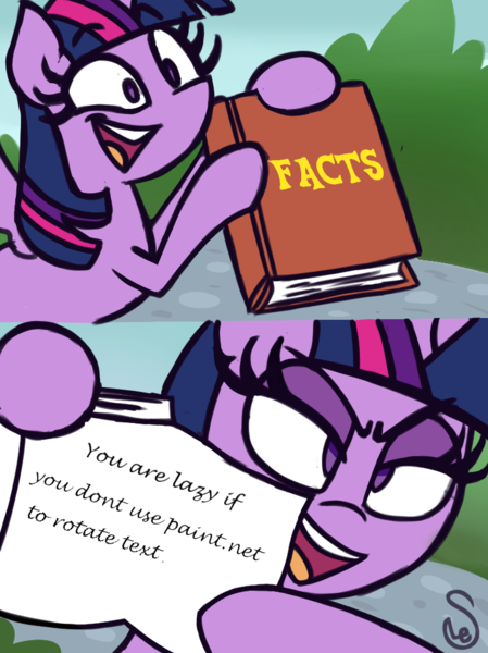 Size: 760x1015 | Tagged: safe, artist:quarium edits, banned from derpibooru, deleted from derpibooru, derpibooru import, edit, twilight sparkle, pony, 2 panel comic, comic, ed edd n eddy, exploitable meme, female, image macro, meme, paint.net, twilight's fact book