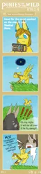 Size: 801x3409 | Tagged: safe, artist:sunnytp, banned from derpibooru, deleted from derpibooru, derpibooru import, ponified, pegasus, pony, comic, link, male, ponies of the wild, sheikah slate, stallion, the legend of zelda, the legend of zelda: breath of the wild