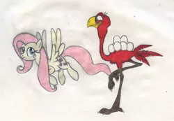 Size: 1787x1240 | Tagged: safe, artist:smcho1014, banned from derpibooru, deleted from derpibooru, derpibooru import, fluttershy, bird, ostrich, pegasus, pony, carrying, colored pencil drawing, cracked, duo, ed, ed the ostrich, egg, female, male, mare, ostrich egg, raised claw, raised leg, standing, standing on one leg, traditional art