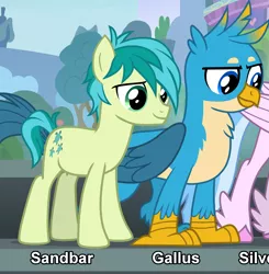 Size: 1798x1836 | Tagged: safe, banned from derpibooru, deleted from derpibooru, derpibooru import, screencap, gallus, sandbar, silverstream, earth pony, gryphon, hippogriff, pony, school daze, cropped, female, male, smiling