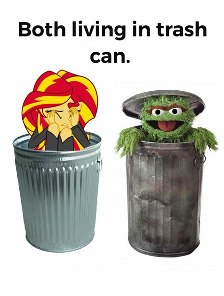 Size: 1553x2048 | Tagged: safe, banned from derpibooru, deleted from derpibooru, derpibooru import, sunset shimmer, abuse, oscar the grouch, sesame street, shimmerbuse, trash can